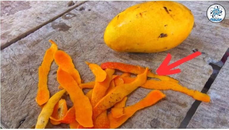 El uso altamente efectivo de las cáscaras de mango: no volverás a desecharlas