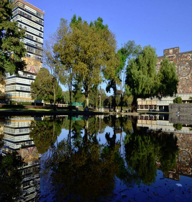 La UNAM, número 1 en el ranking de 200 universidades de América Latina