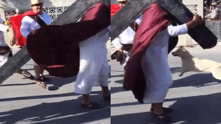 [VIDEO] Perrito callejero defiende a 'Jesús' cuando es azotado por soldados