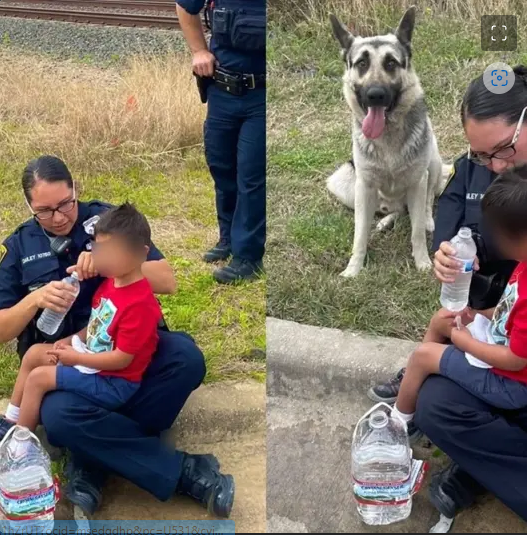 Perro protege a su dueño desaparecido, un niño de 5 años con Down