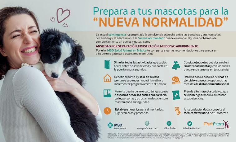 El regreso a la rutina laboral puede generar trastornos en perros y gatos