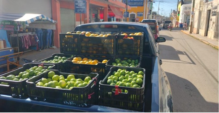 Se paraliza venta de limón verde por la Semana Mayor