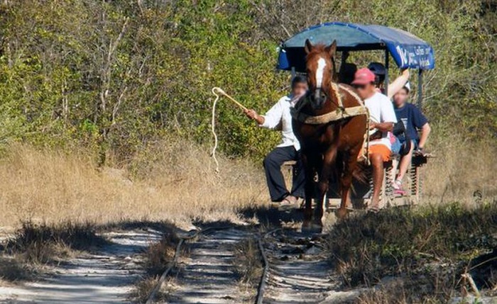 Yucatán: Caballo patea a turista y le fractura la pierna en Cuzamá