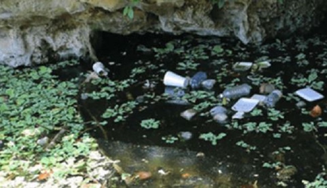 Estudio revela que muchos cenotes de Yucatán presentan coliformes fecales