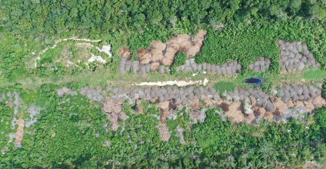 Yucatán: Cerros de excremento enferman a la población y contaminan cenotes