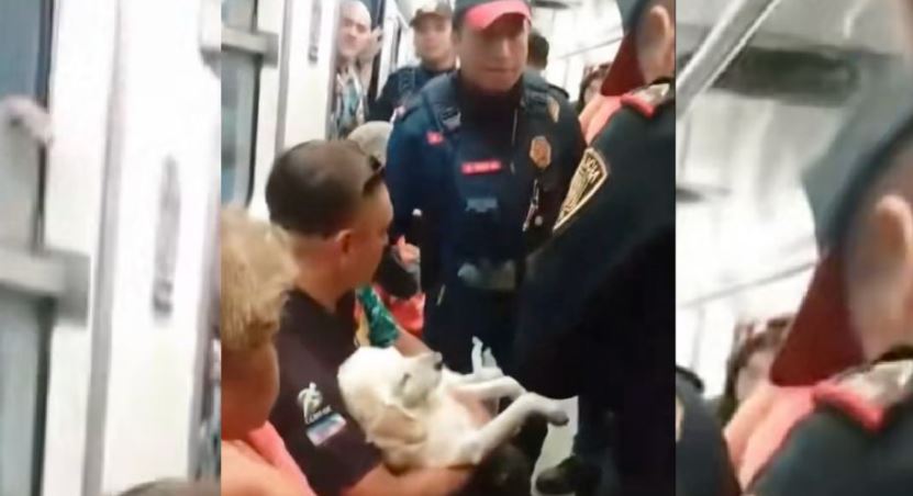 (VIDEO) Indigna caso de hombre que fue sacado del Metro con su perrito herido