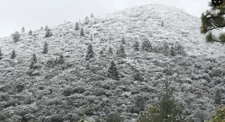 ¡Postal navideña! Así se ve la sierra nevada de Arteaga, en Coahuila