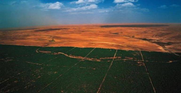 África se une para muralla verde en el Sahara para salvar al planeta