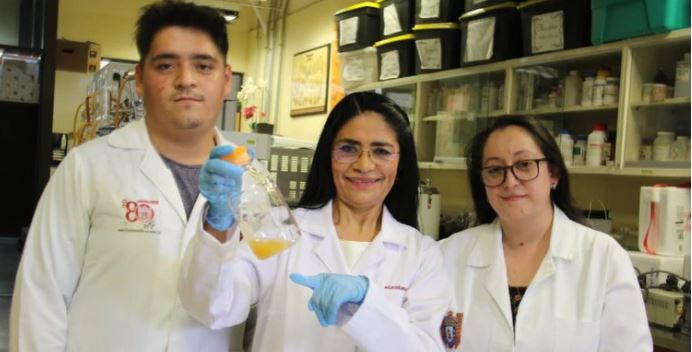 Científicos del IPN patentaron probiótico anticancerígeno derivado del pulque