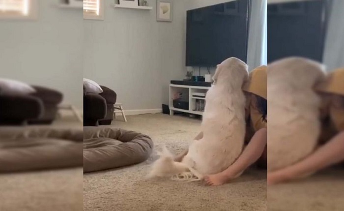 (Video) Perro consuela a mujer durante ataques de ansiedad
