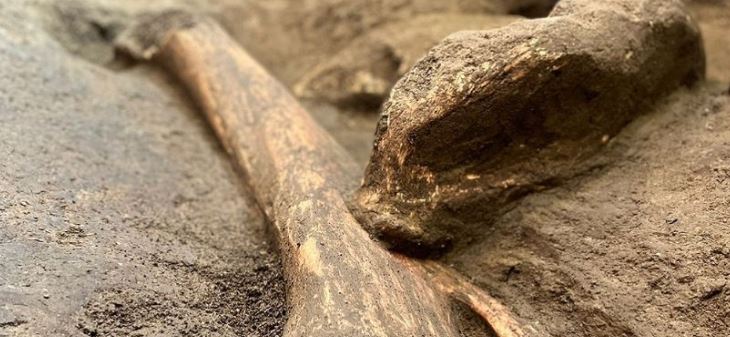 Hallan restos de un mamut en patio de una casa en Ixtlahuaca, Edomex