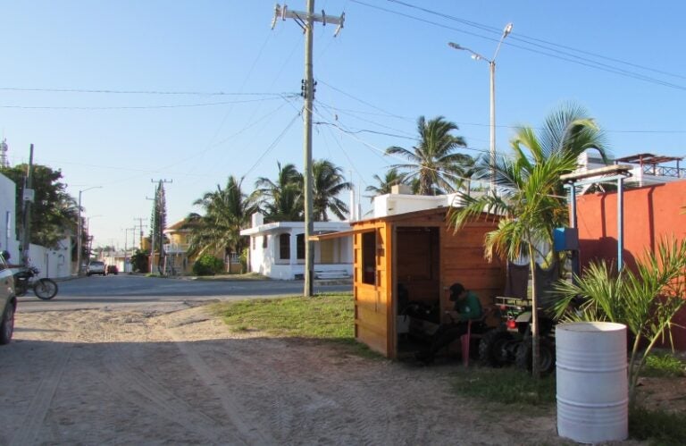 ¡El colmo! Roban pulpo frente a caseta policíaca en Progreso