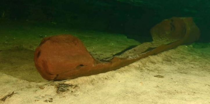 Descubren una canoa maya en un cenote en Yucatán