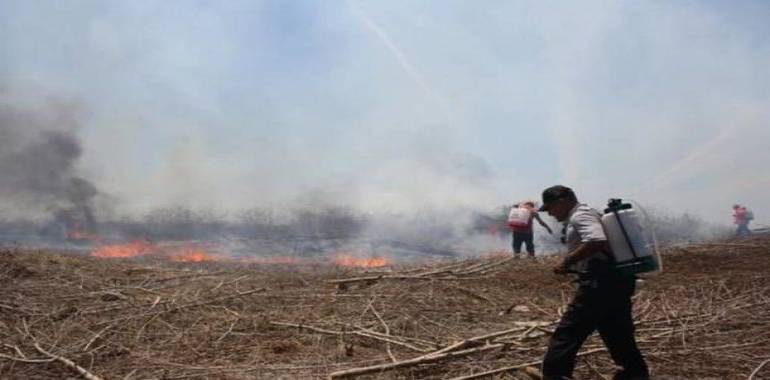 Incendio en basurero clandestino de Kanasín
