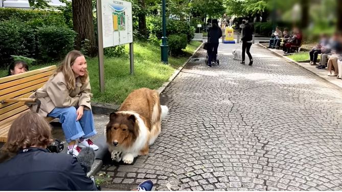 (VÍDEO) Japonés gastó más de 200 mil pesos para "convertirse" en perro