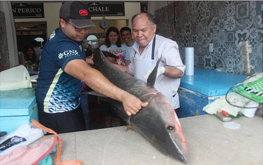 Tampico: Tiburón sorprende a turistas en mercado de pescados y mariscos