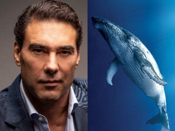 Eduardo Yáñez revela que usa semen de ballena para verse "más joven"