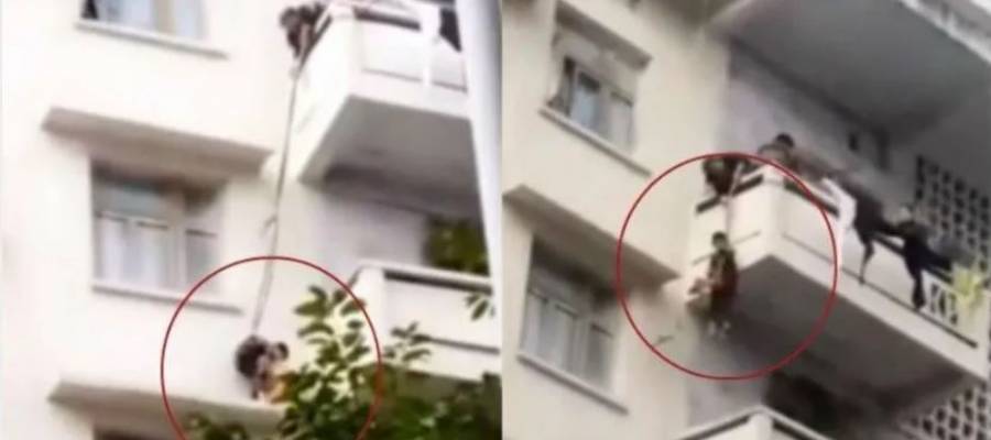 Colgó a su nieto desde un quinto piso ¡para salvar a su gato!