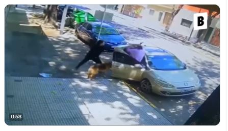 (VÍDEO) Mujer golpea a abuelo con un palo porque le pidió recoger las heces de su perro