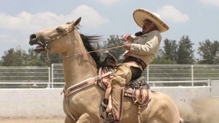 Hospitalizan a Vicente Fernández, sufrió un accidente en su rancho