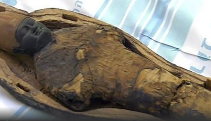 Descubren que antigua momia egipcia en realidad no era un ser humano