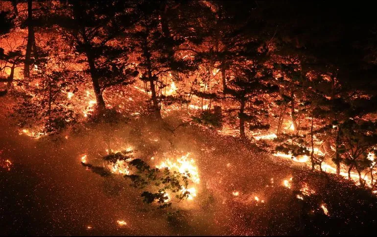 Más de 60 incendios activos en 15 estados y aumentarían por el intenso calor