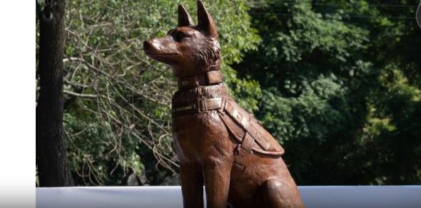 Devela Sedena estatua en honor a Proteo, perrito de rescate