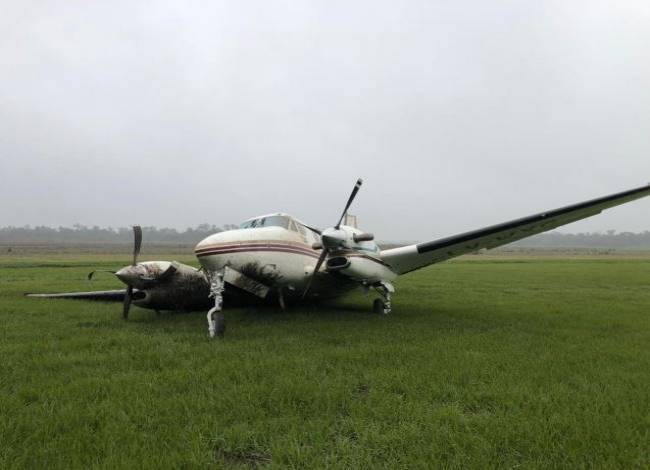Pastor alemán muere atropellado por avioneta; invadió una pista privada en Argentina