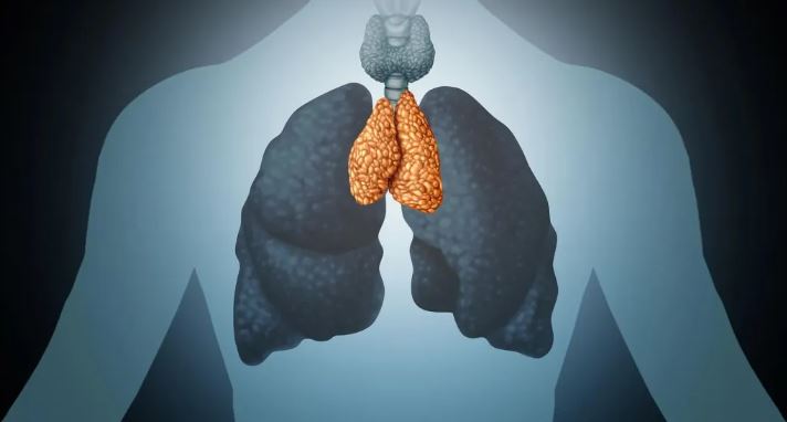 Órgano, considerado como “inútil” por médicos, podría ser la clave para vencer al cáncer