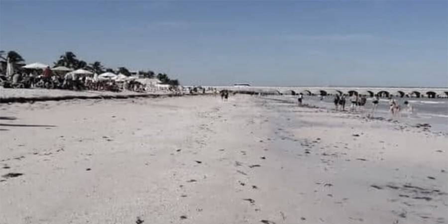 Progreso: En menos de un mes, por tercera ocasión, se aleja el mar de la playa