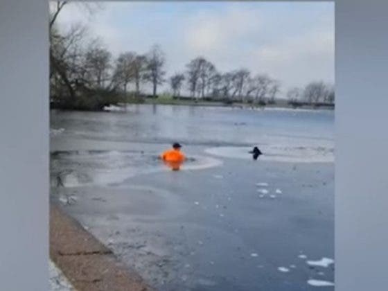 VIDEO: Hombre rescata a perrito que estaba en un lago congelado