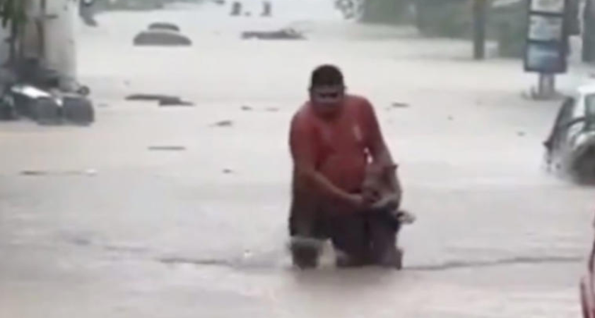 (VÍDEO) Rescatan a perro tras el paso de John en Acapulco