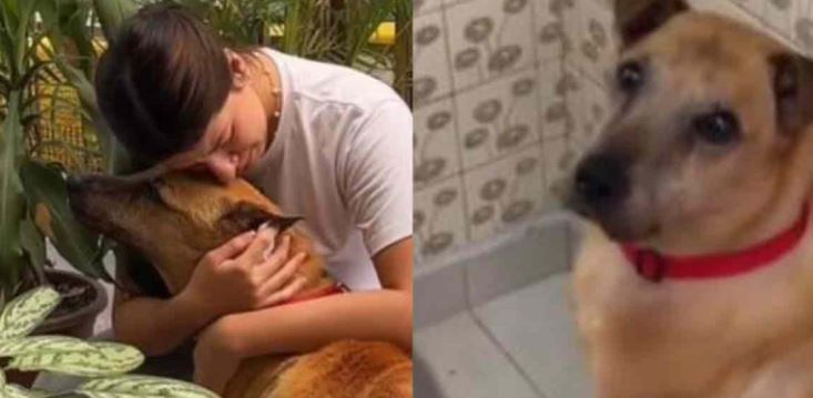 (VÍDEO) Joven comparte la despedida a su perrito antes de dormirlo; estaba enfermo