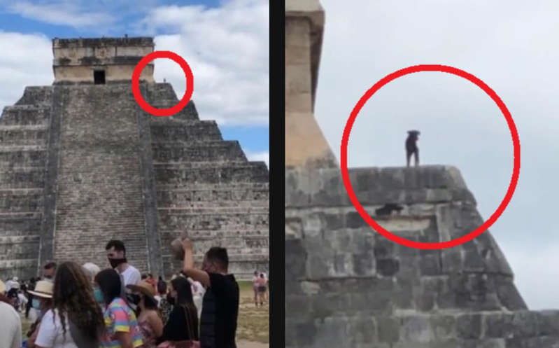 Captan a perrito en la cima del castillo de  Chichen Itzá