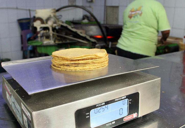 Yucatán: Analizan "ajustes" a los precios de la masa y la tortilla