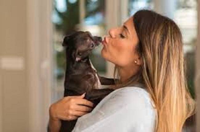 ¿Besas a tu perro? ¡Cuidado! Podrías ser candidato a cáncer de estómago