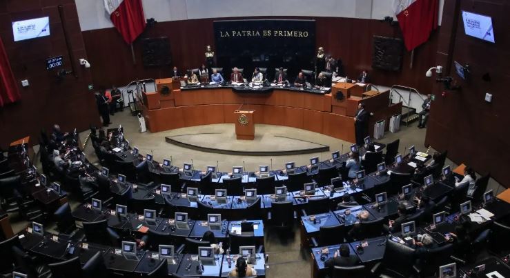 Morena violó la Constitución al aceptar la renuncia de Zaldívar: Ana Delgadillo