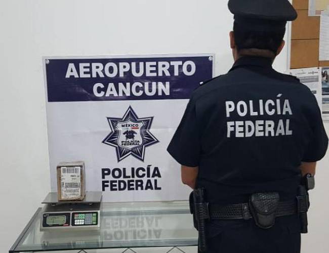 Interceptan ‘entregas’ de cocaína y marihuana en Cancún