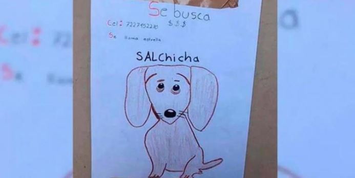 Toluca: ¿Retrato hablado? Niño busca a su perrita extraviada con un dibujo