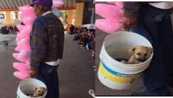 Abuelito lleva a su perrito mientras vende algodones de azúcar