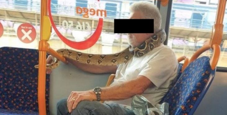 Usó una serpiente ‘como cubrebocas’ para subirse a un autobús