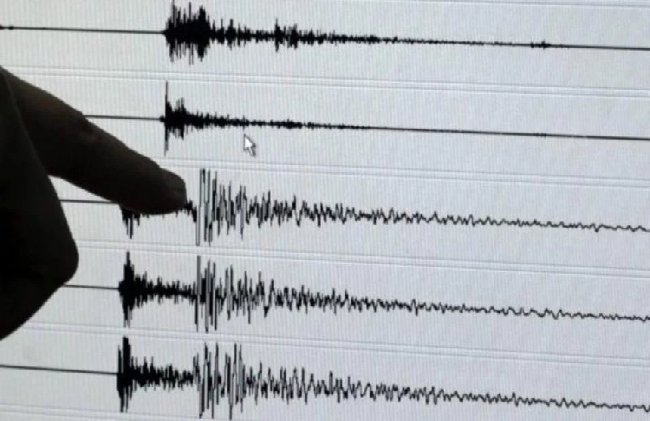 Se registra sismo de 4.7 en Guerrero