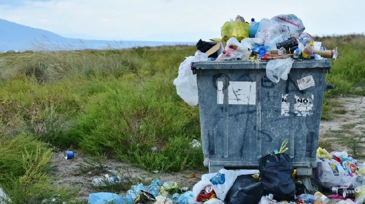 Científicos descubren un gusano que se come el plástico que afecta al mar