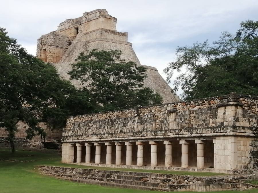 Este lunes 14 inicia Cultur la reapertura escalonada de sus unidades de servicios