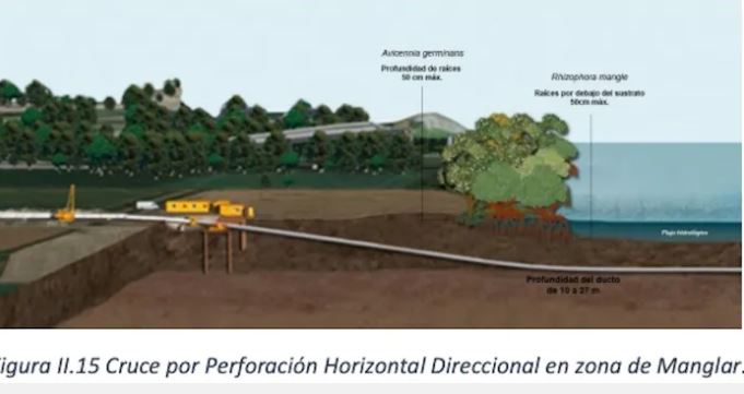 Gasoducto de metano para alimentar Dos Bocas pondría en peligro al sureste, dice ONG