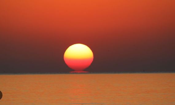 Alarma de científicos: El calor de la superficie del océano que llega a niveles récord