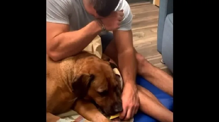 Jugador de béisbol da de comer a su perro por última vez en emotivo video