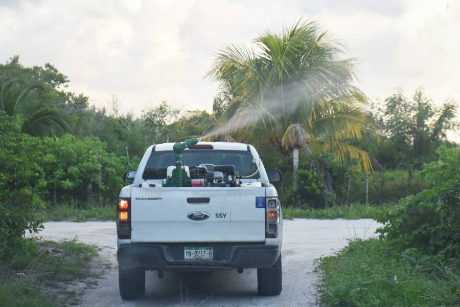 Yucatán: SSY declara la "guerra" a los moscos fumigará en los 106 municipios