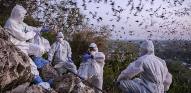 China no pone de su parte para descubrir cómo inició la pandemia de COVID-19