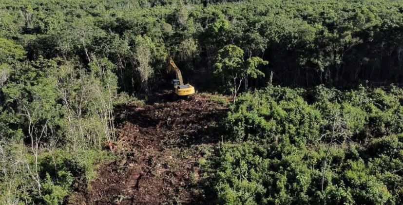 ¡Qué raro! Sedena construye hotel sin autorización en reserva natural de Calakmul